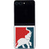 Republican Galaxy Z Flip5 5G Skin