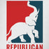 Republican iPhone XR Skin