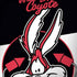 Looney Tunes Retro Wile E Coyote iPhone X Skin