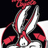 Looney Tunes Retro Wile E Coyote iPhone XR Skin