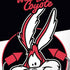 Looney Tunes Retro Wile E Coyote iPhone XS Pro Case