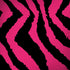 Retro Zebra iPhone X Pro Case
