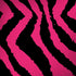 Retro Zebra iPhone X Skin