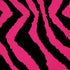 Retro Zebra iPhone XR Skin
