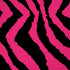 Retro Zebra iPhone XS Pro Case