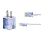 Rachel Anderson Rhiannon Fairy and Unicorn iPhone Charger (5W USB) Skin