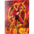 DC Comics The Flash Action Pose PS5 Bundle Skin