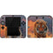 Vincent Hie Rising Tiger Nintendo 2DS Skin