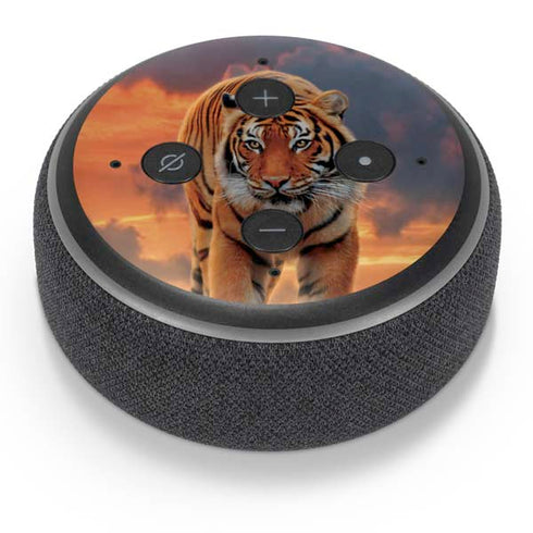 Vincent Hie Rising Tiger Amazon Echo Dot Skin
