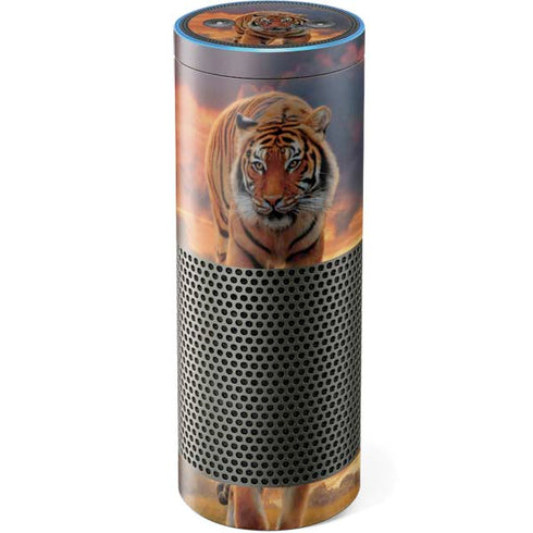 Vincent Hie Rising Tiger Amazon Echo Skin