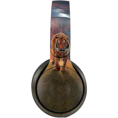 Vincent Hie Rising Tiger Beats Solo Pro Skin