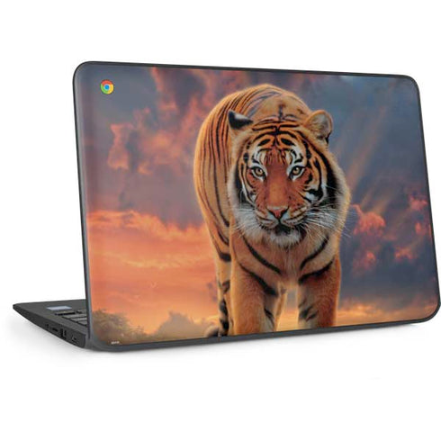 Rising Tiger by Vincent Hie HP Chromebook Skin