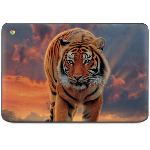 Rising Tiger by Vincent Hie HP Chromebook Skin