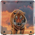 Vincent Hie Rising Tiger Cooler Master MasterBox Q300L Mini Tower Skin