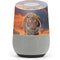 Vincent Hie Rising Tiger Google Home Skin