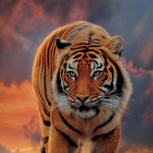 Vincent Hie Rising Tiger Moto G6 Skin