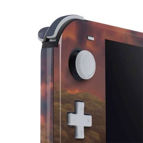 Vincent Hie Rising Tiger Nintendo Switch Lite Skin