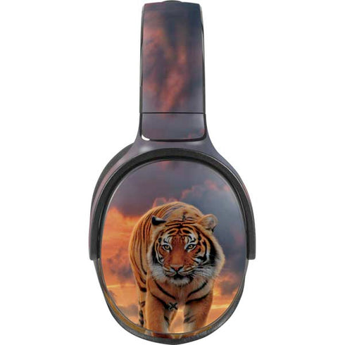 Vincent Hie Rising Tiger Skullcandy Venue Skin