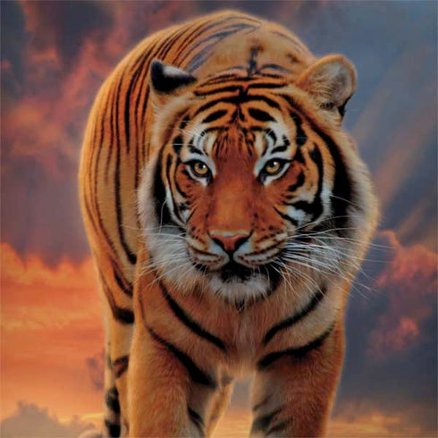 Vincent Hie Rising Tiger Surface Book 2 15in Skin