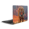 Vincent Hie Rising Tiger Zenbook UX305FA 13.3in Skin