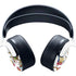 Looney Tunes Road Runner Wile E Coyote Food PULSE 3D Wireless Headset for PS5 Skin