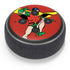 DC Comics Robin Classic Art Amazon Echo Dot Skin