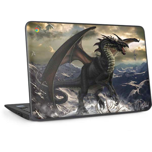 Rogue Dragon by Tom Wood HP Chromebook Skin