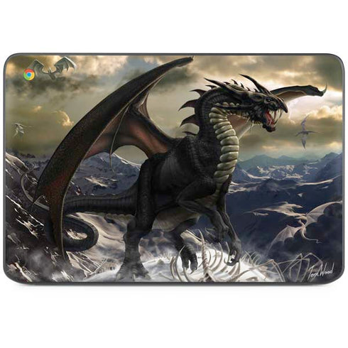 Rogue Dragon by Tom Wood HP Chromebook Skin