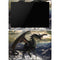 Tom Wood Rogue Dragon Surface Pro 6 Skin