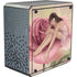 Rachel Anderson Rose Fairy Cooler Master MasterBox Q300L Mini Tower Skin