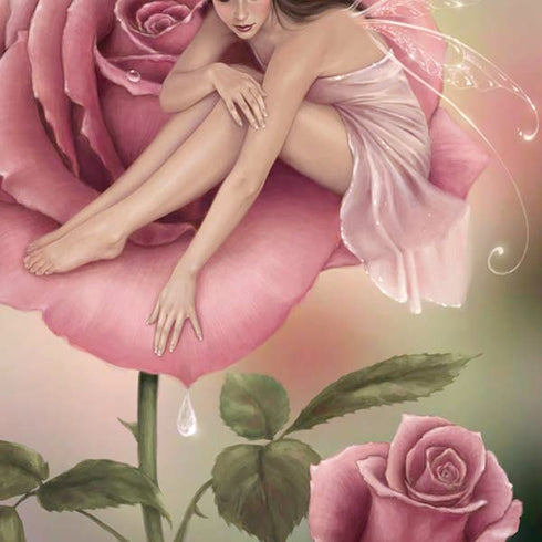 Rachel Anderson Rose Fairy iPhone XR Skin