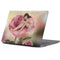Rachel Anderson Rose Fairy Apple MacBook Pro 13-inch Skin