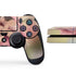 Rachel Anderson Rose Fairy PS4 Console and Controller Bundle Skin