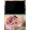 Rachel Anderson Rose Fairy Surface Pro 7 Skin
