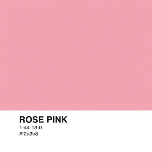 Rose Pink Color Palette Nintendo 2DS XL (2017) Skin