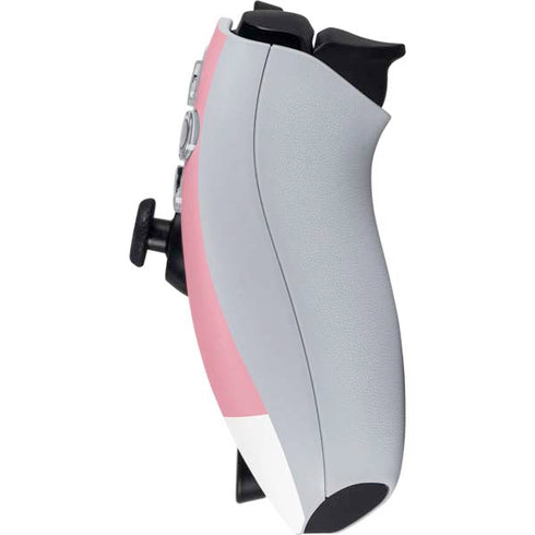 Rose Pink Color Palette PlayStation Portal Remote Player Skin
