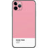 Rose Pink Color Palette iPhone 11 Pro Max Skin
