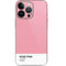 Rose Pink Color Palette iPhone 14 Pro Skin