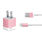 Rose Pink Color Palette iPhone Charger (5W USB) Skin