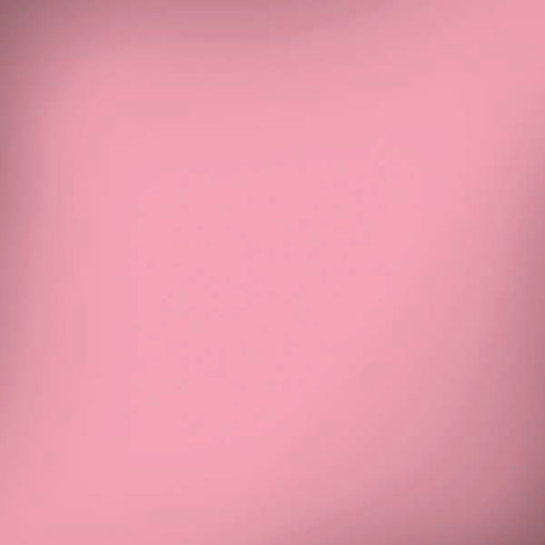 Rose Pink Color Palette iPhone X Skin