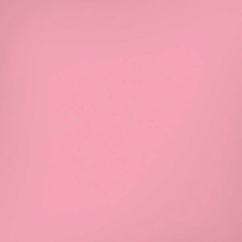 Rose Pink Color Palette iPhone XS Pro Case