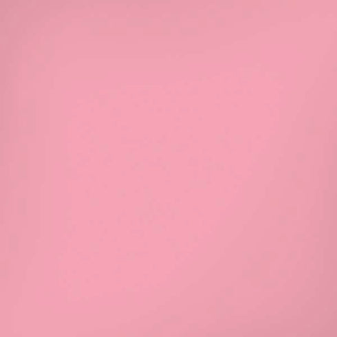 Rose Pink Color Palette iPhone XS Skin