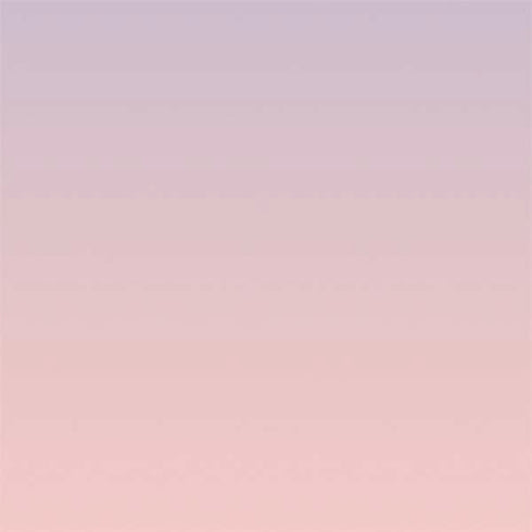 Rose Quartz & Serenity Ombre Nintendo 2DS XL (2017) Skin