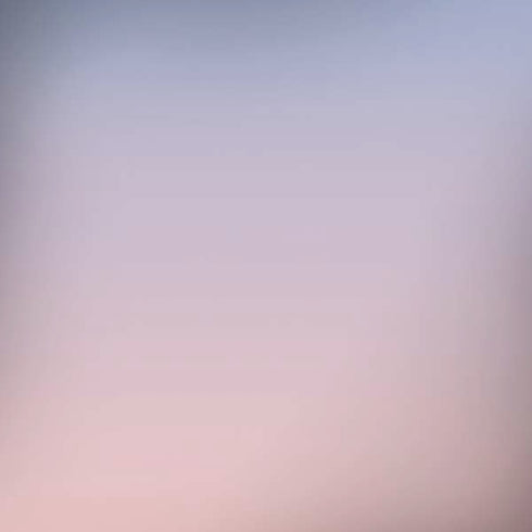 Rose Quartz & Serenity Ombre iPhone X Pro Case