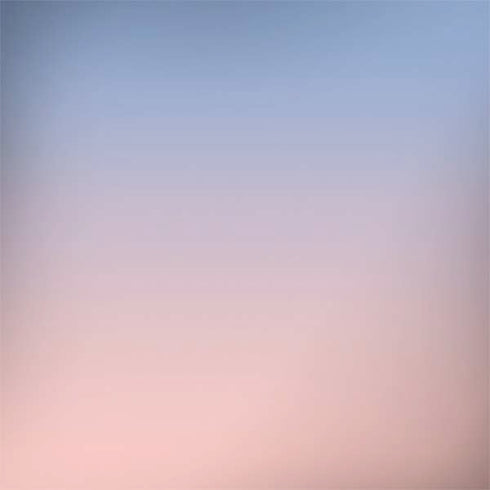 Rose Quartz & Serenity Ombre HP Spectre Skin
