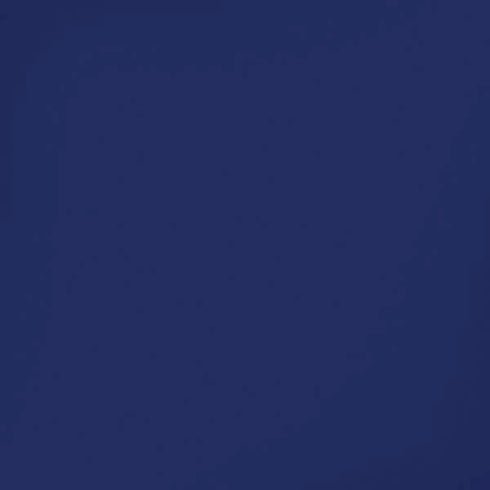 Royal Blue iPhone XS Max Skin