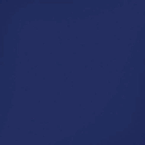 Royal Blue iPhone XS Skin