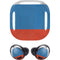 Russian Flag Distressed Galaxy Buds Pro Skin