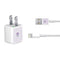 NBA Sacramento Kings History Logo Blast iPhone Charger (5W USB) Skin