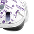 NBA Sacramento Kings History Logo Blast Meta Quest 3 Skin